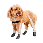 Waterproof Dog Boot Leggings product image 47