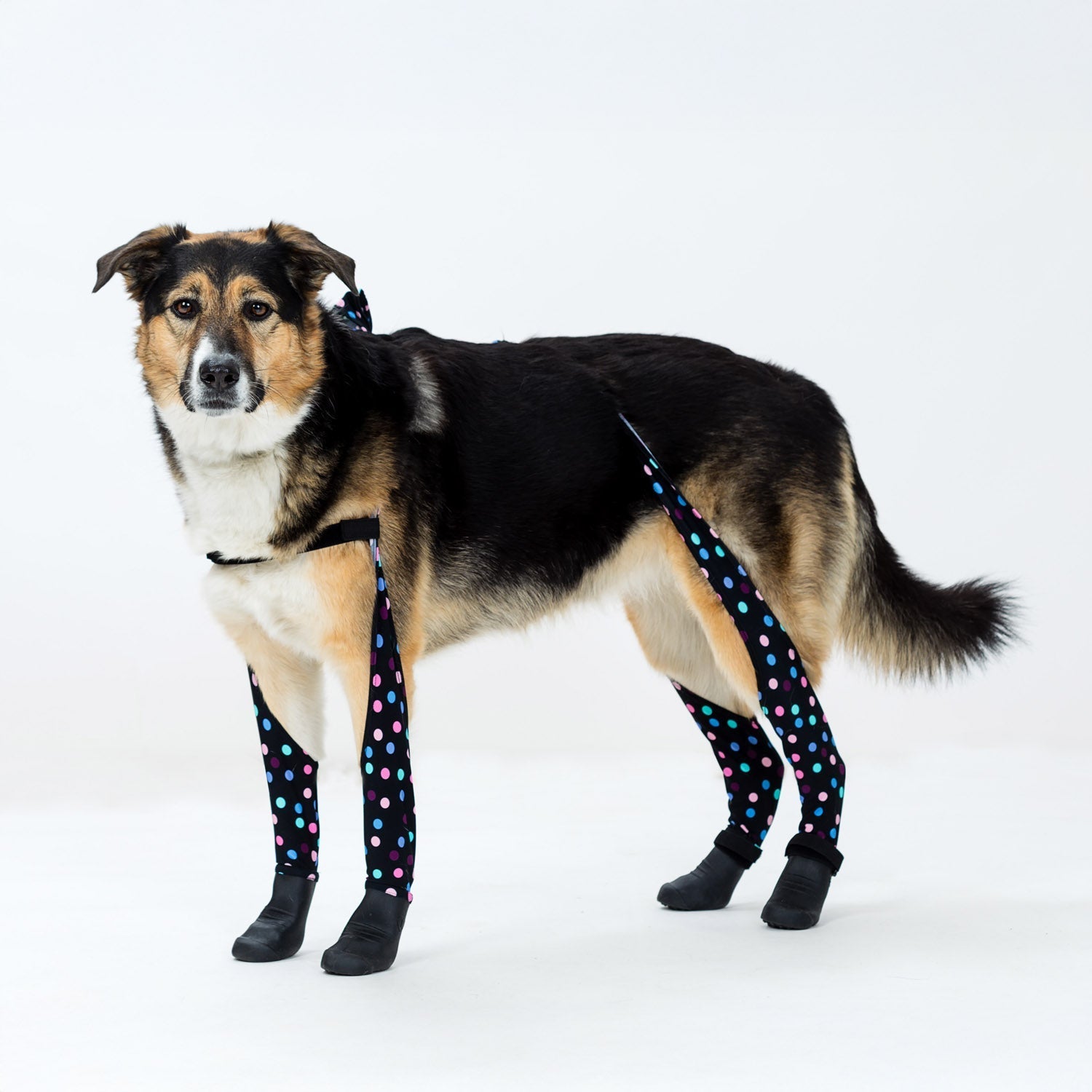 Waterproof Dog Boot Leggings product image 49