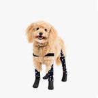 Waterproof Dog Boot Leggings product image 50
