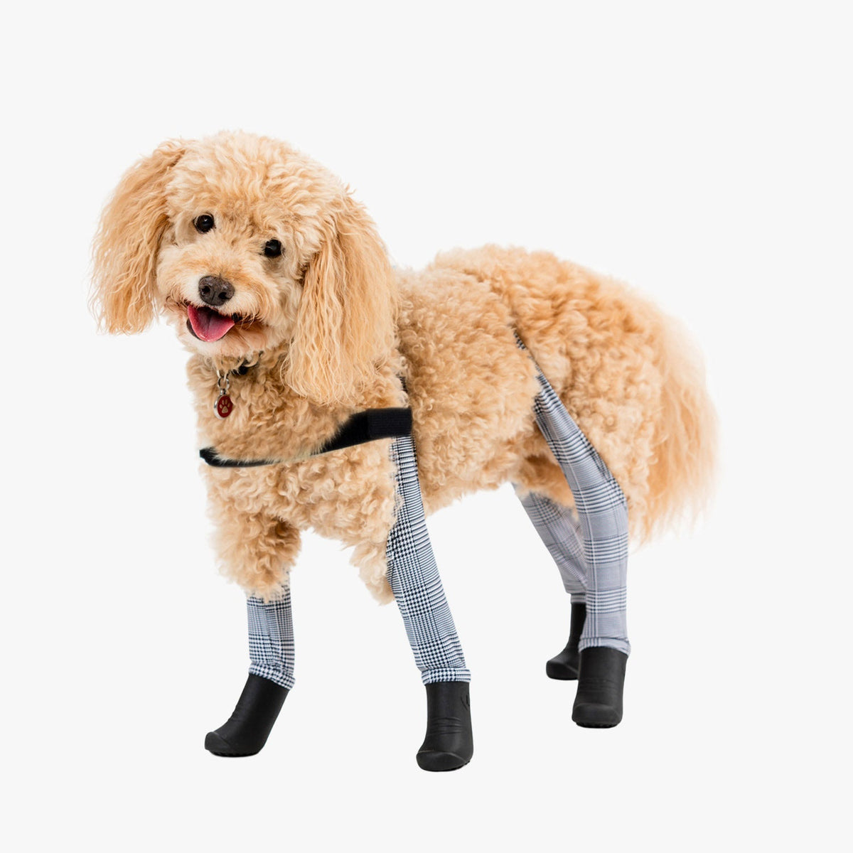 Waterproof Dog Boot Leggings product image 52