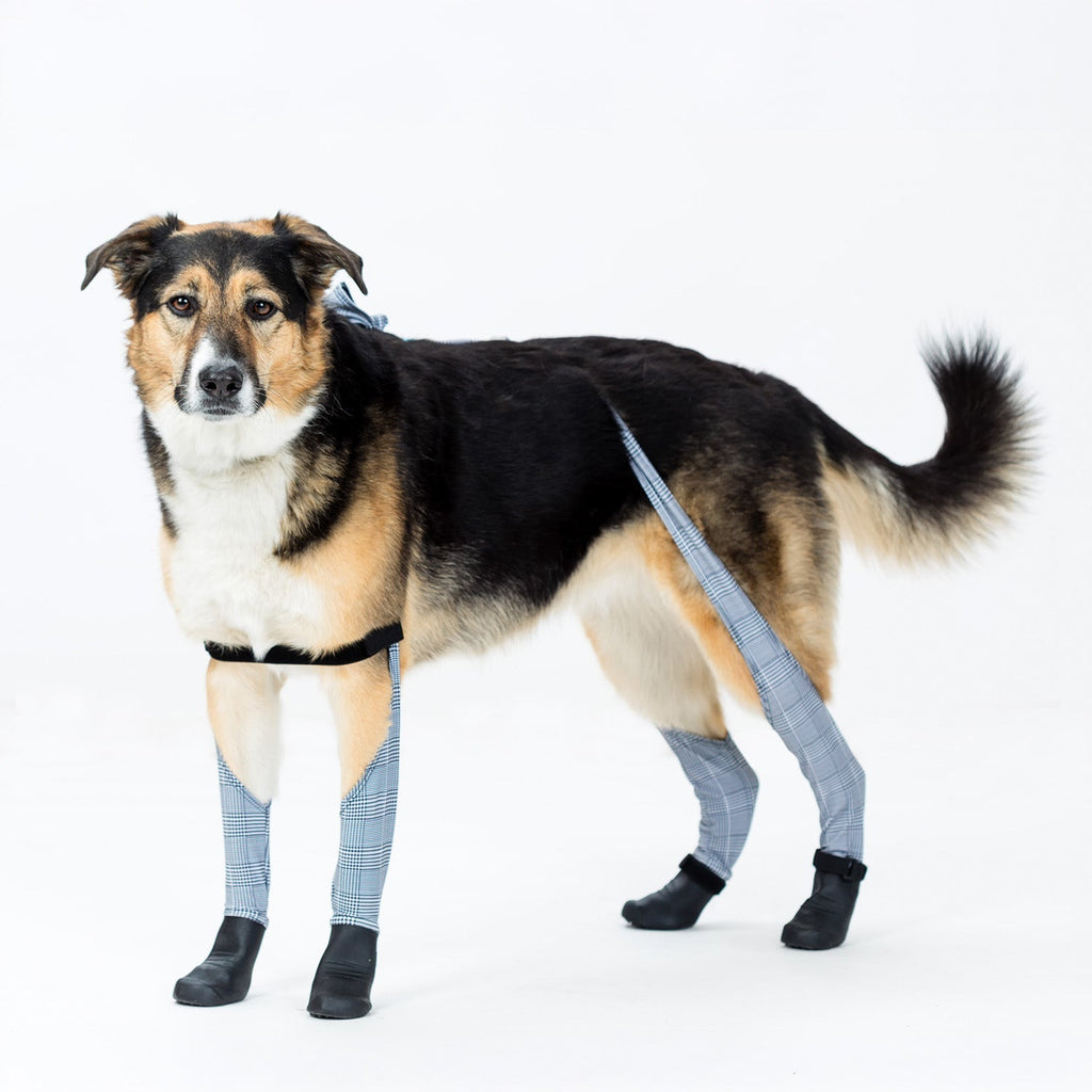 Waterproof Dog Boot Leggings product image 53
