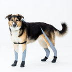 Waterproof Dog Boot Leggings product image 53