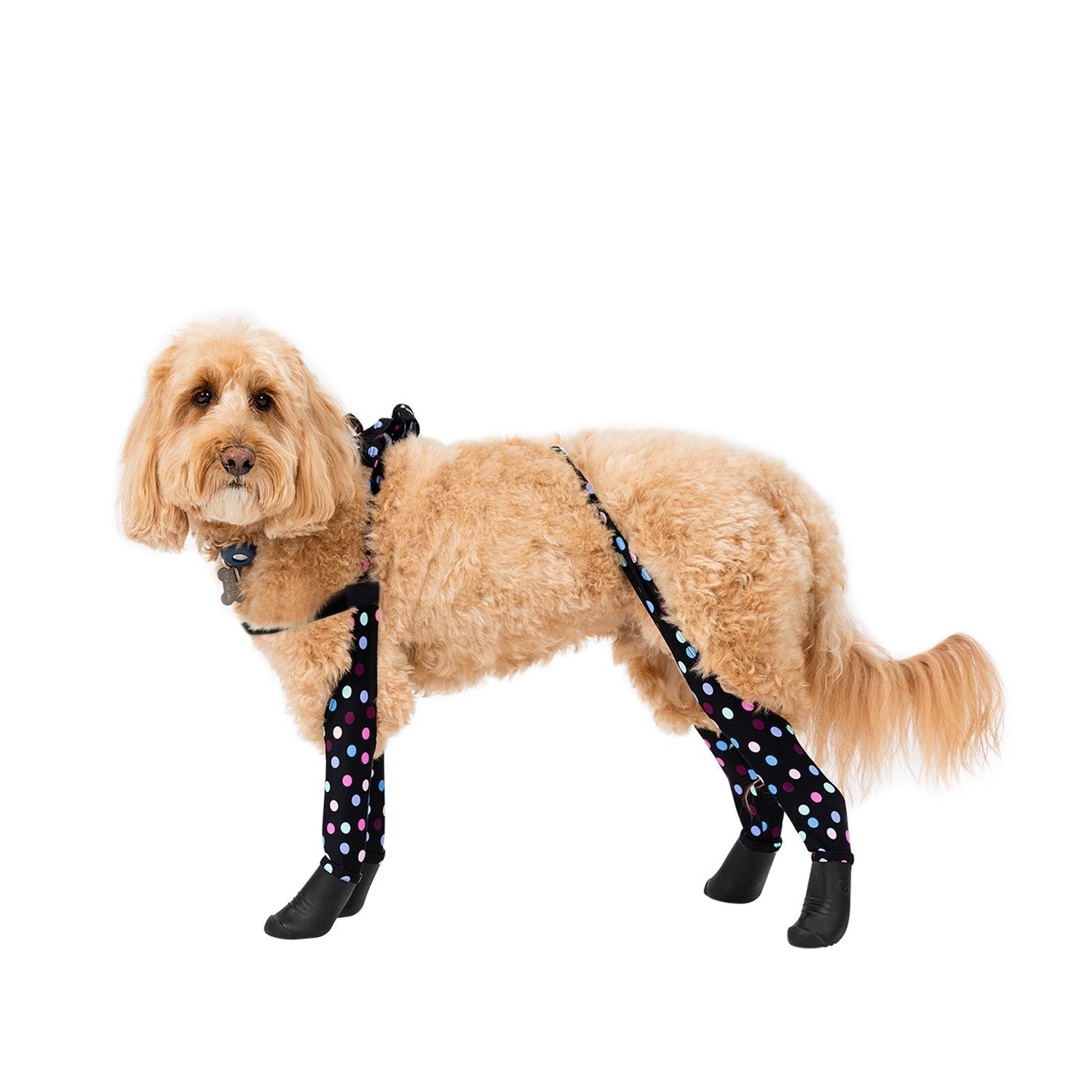 Waterproof Dog Boot Leggings product image 54