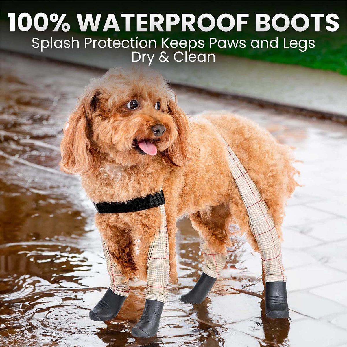 Waterproof Dog Boot Leggings product image 55