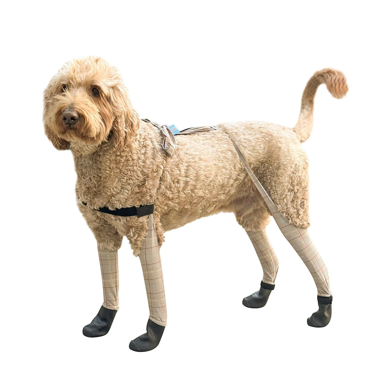 Waterproof Dog Boot Leggings product image 61