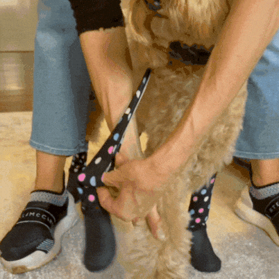 Waterproof Dog Boot Leggings product image 69