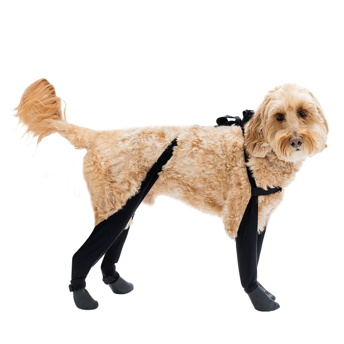 Waterproof Dog Boot Leggings product image 72