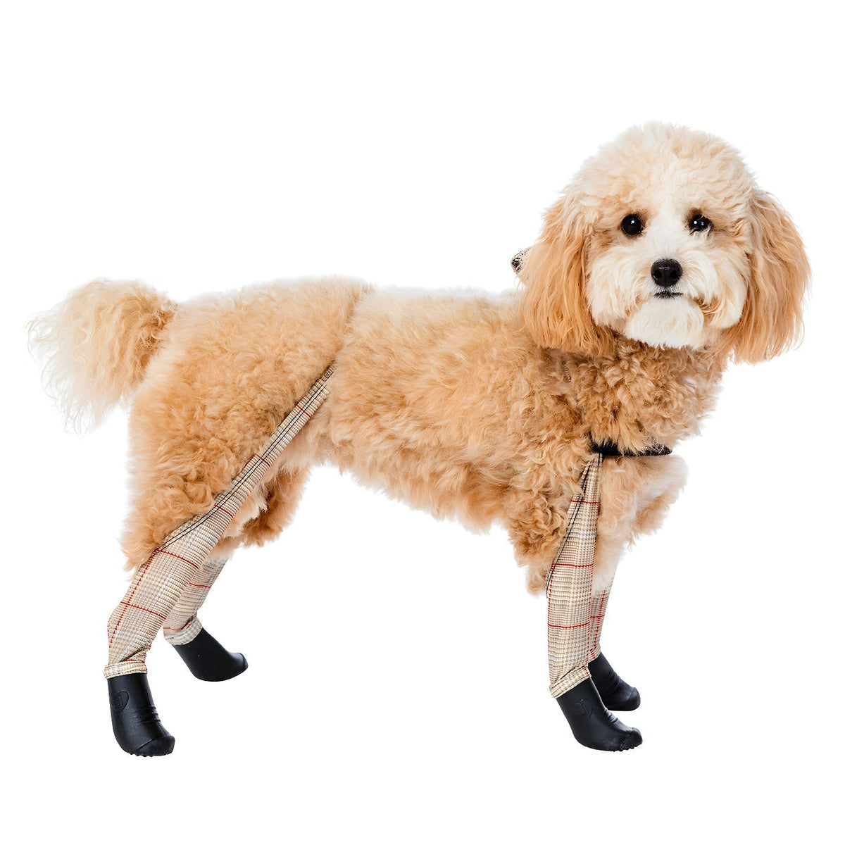 Waterproof Dog Boot Leggings product image 77