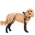 Waterproof Dog Boot Leggings product image 78