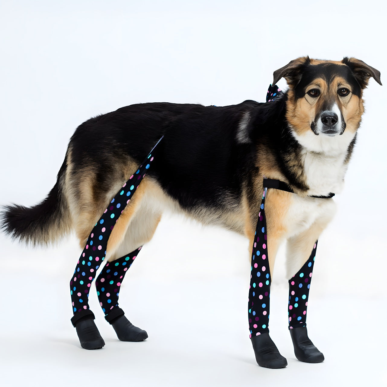 Waterproof Dog Boot Leggings product image 80