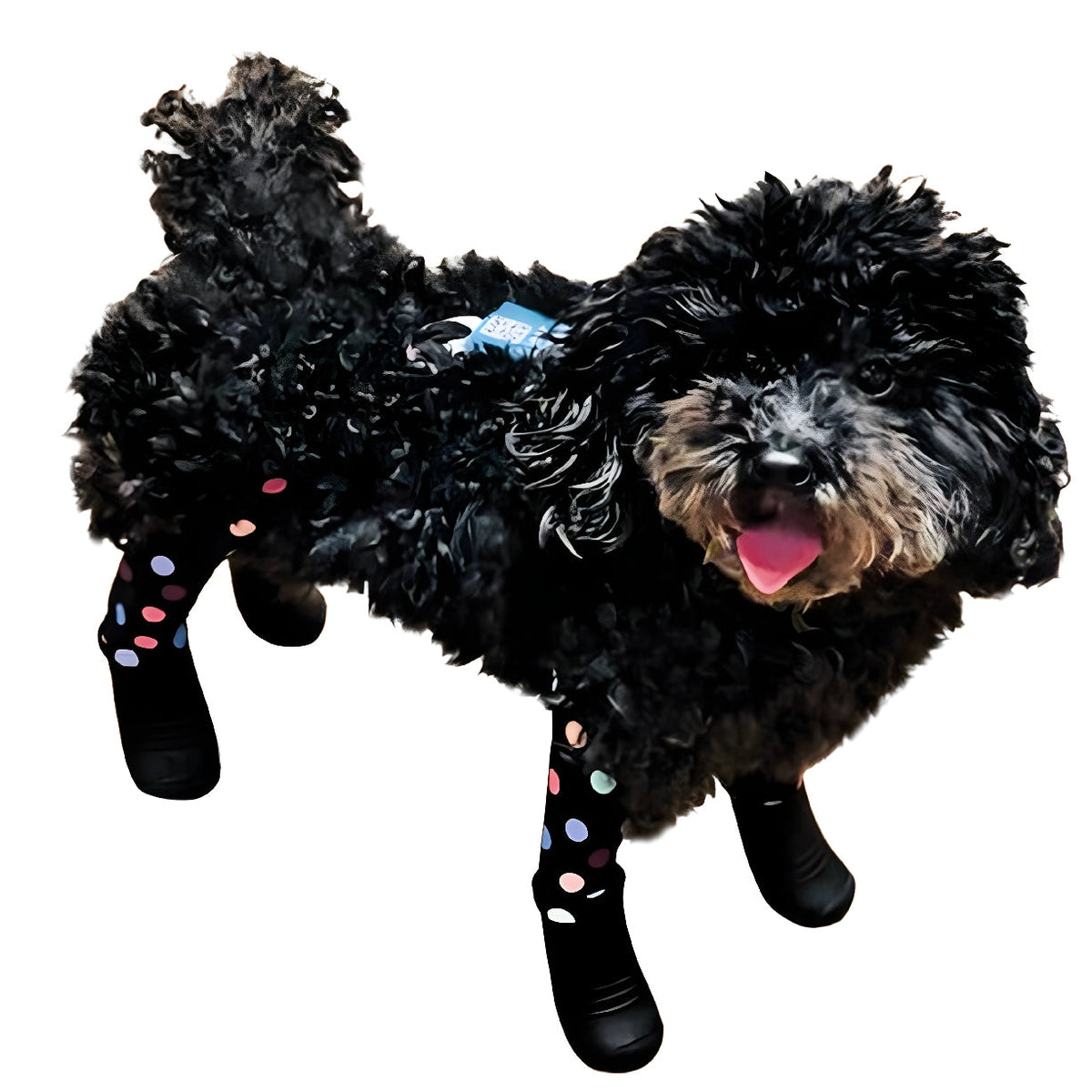 Waterproof Dog Boot Leggings product image 81