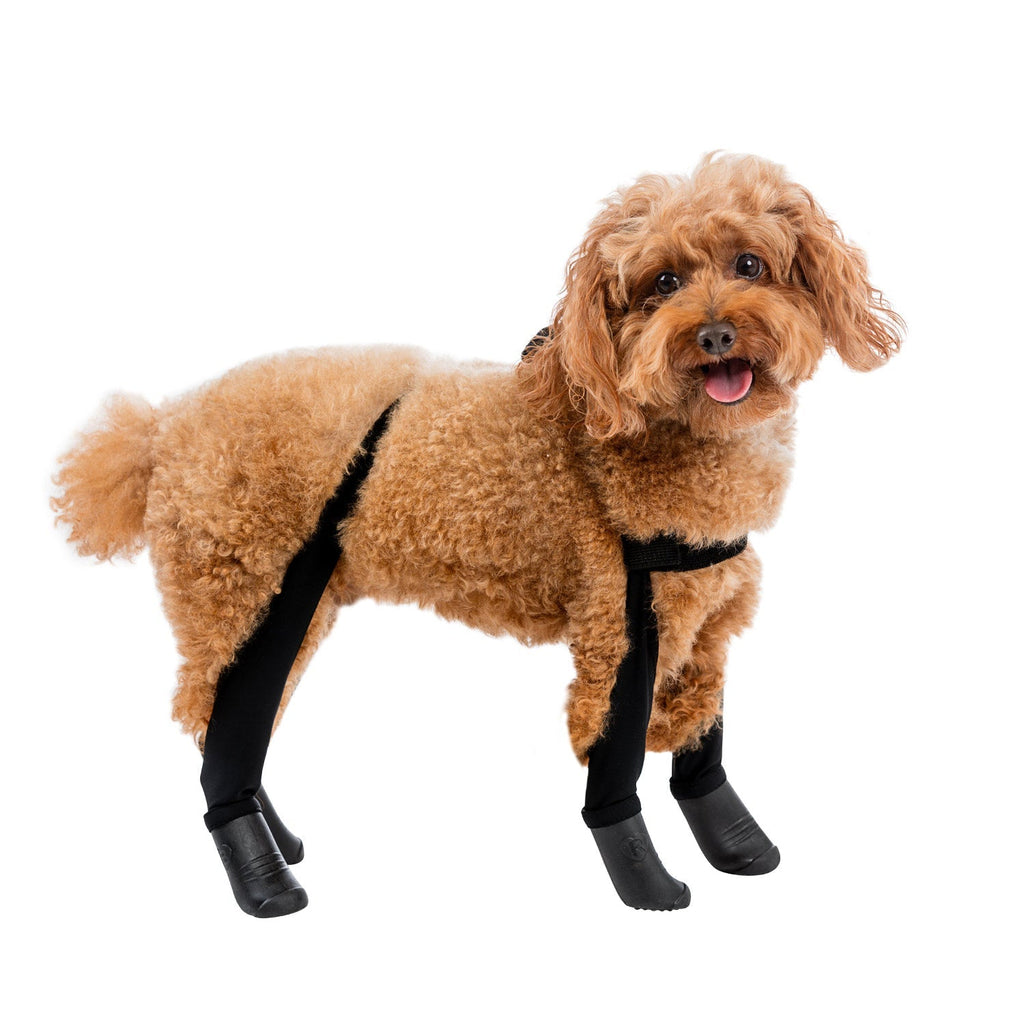 Waterproof Dog Boot Leggings, Black / XS-Short
