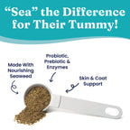 Probiotic Powder product image 2