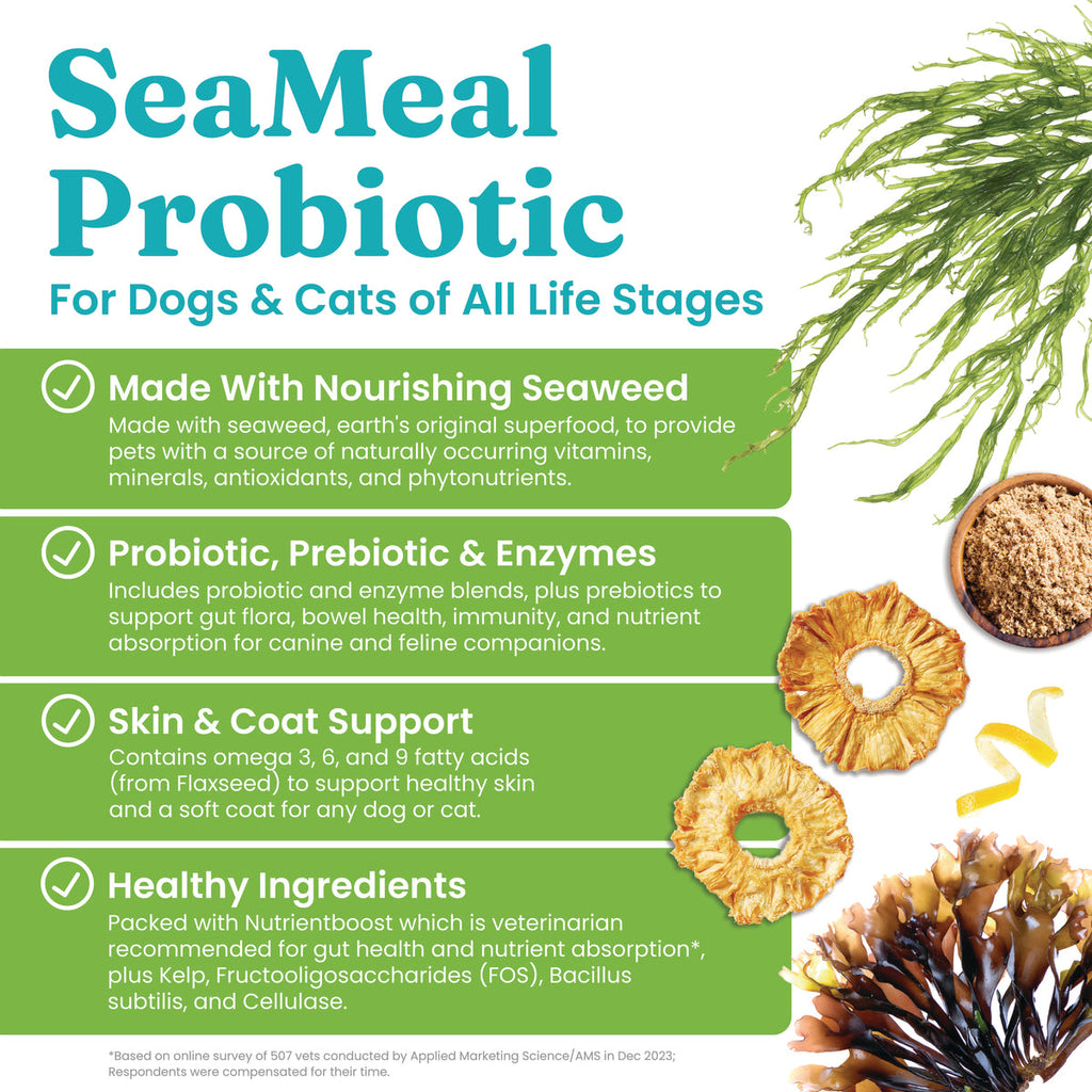 Probiotic Powder product image 5