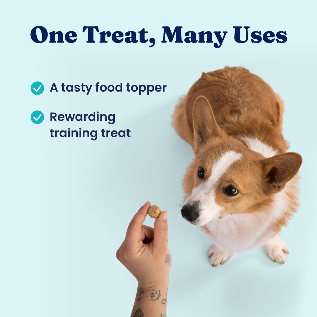 Freeze-Dried Dog Food Topper product image 4