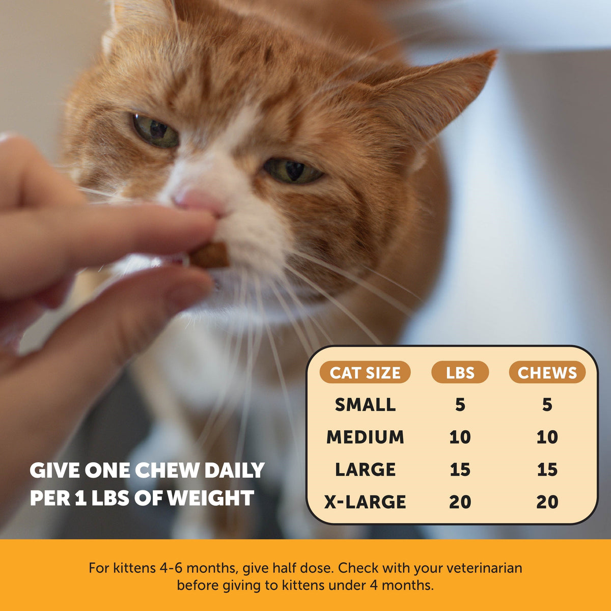 Cat Immune Supplement product image 5