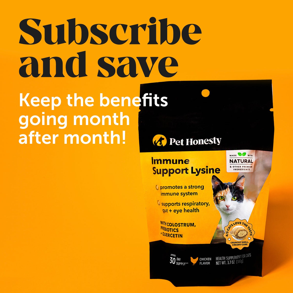 Cat Immune Supplement product image 10
