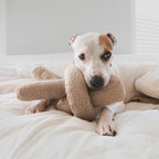 Plush Dog Toy product image 2