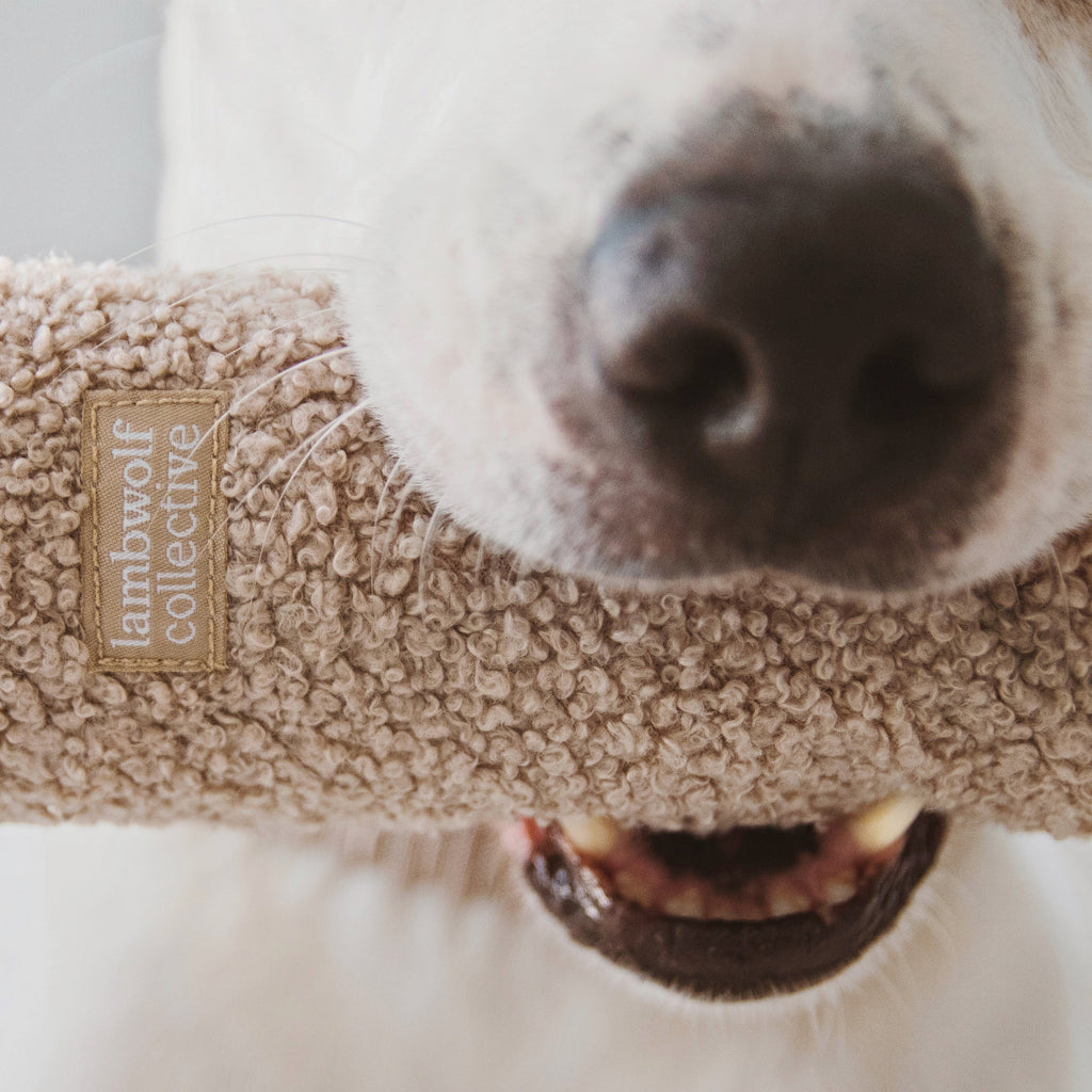 Plush Dog Toy product image 3