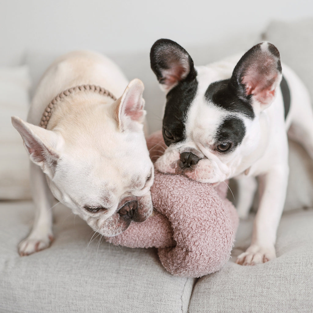Plush Dog Toy product image 6