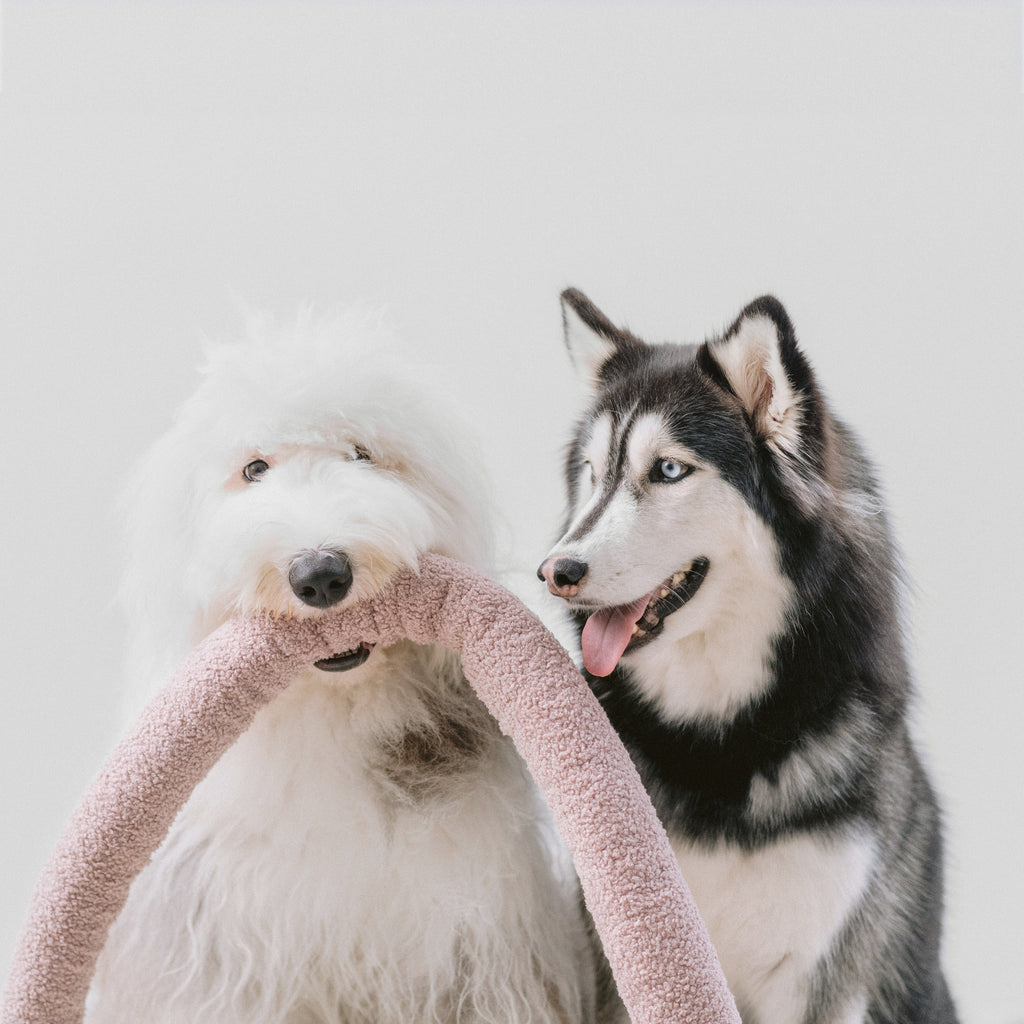 Plush Dog Toy product image 7