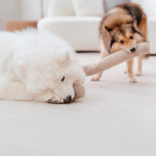 Plush Dog Toy product image 12