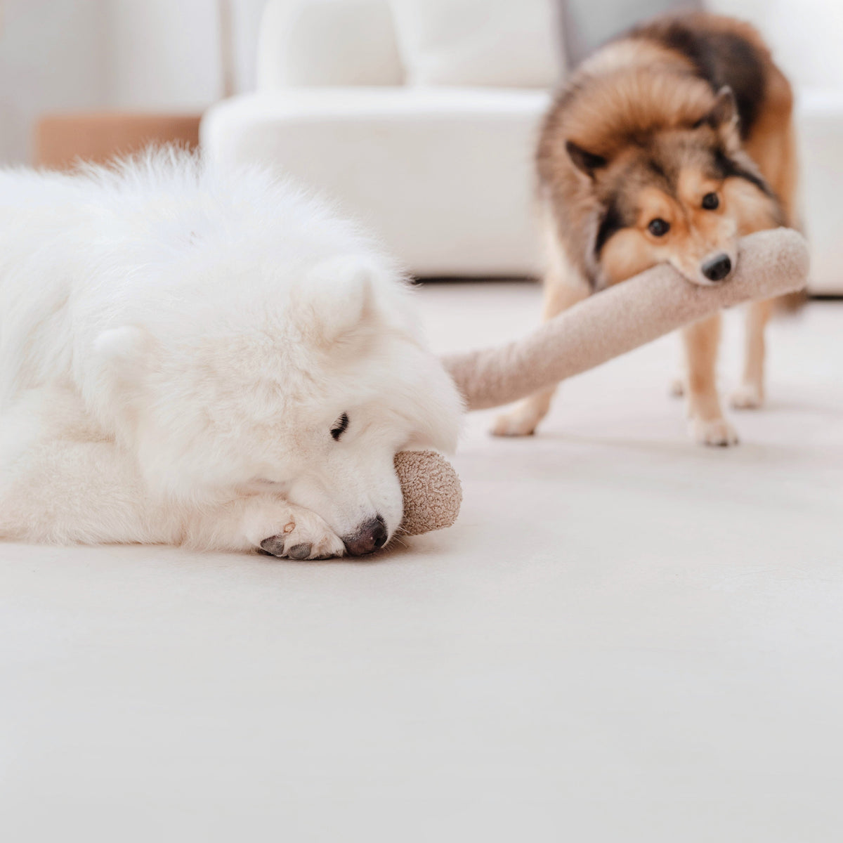 Plush Dog Toy product image 12
