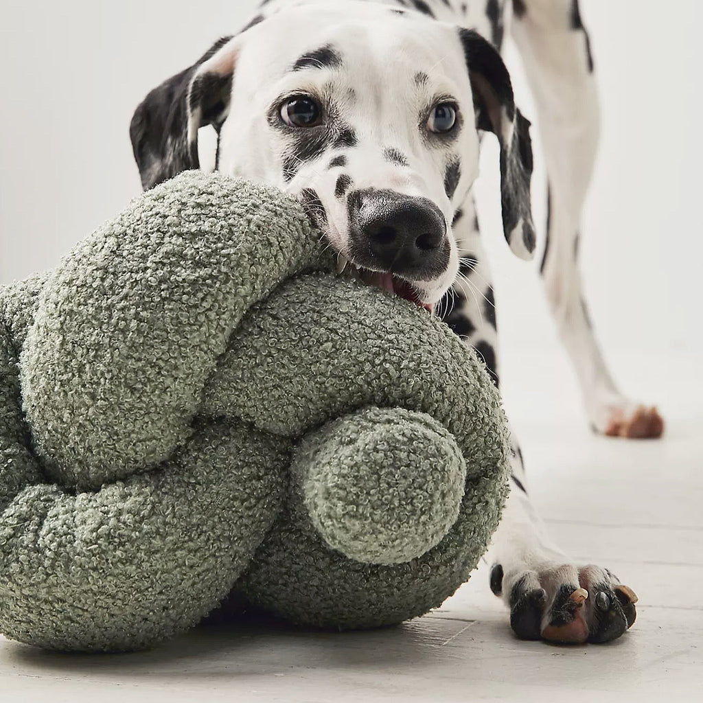 Plush Dog Toy product image 13