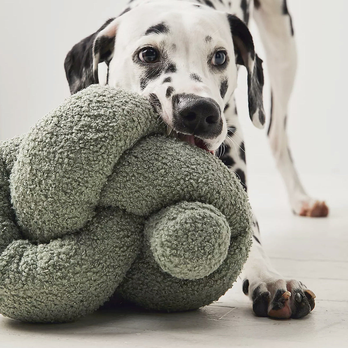 Plush Dog Toy product image 13