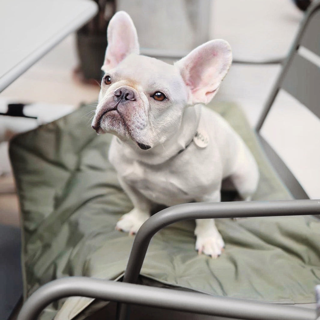 Dog Travel Mat product image 6