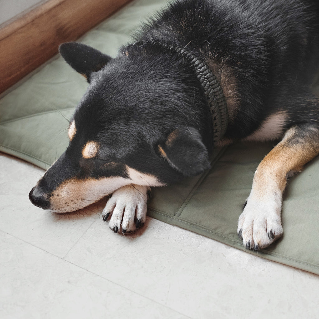 Dog Travel Mat product image 7