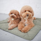 Dog Travel Mat product image 8
