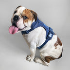 Dog Harness product image 1