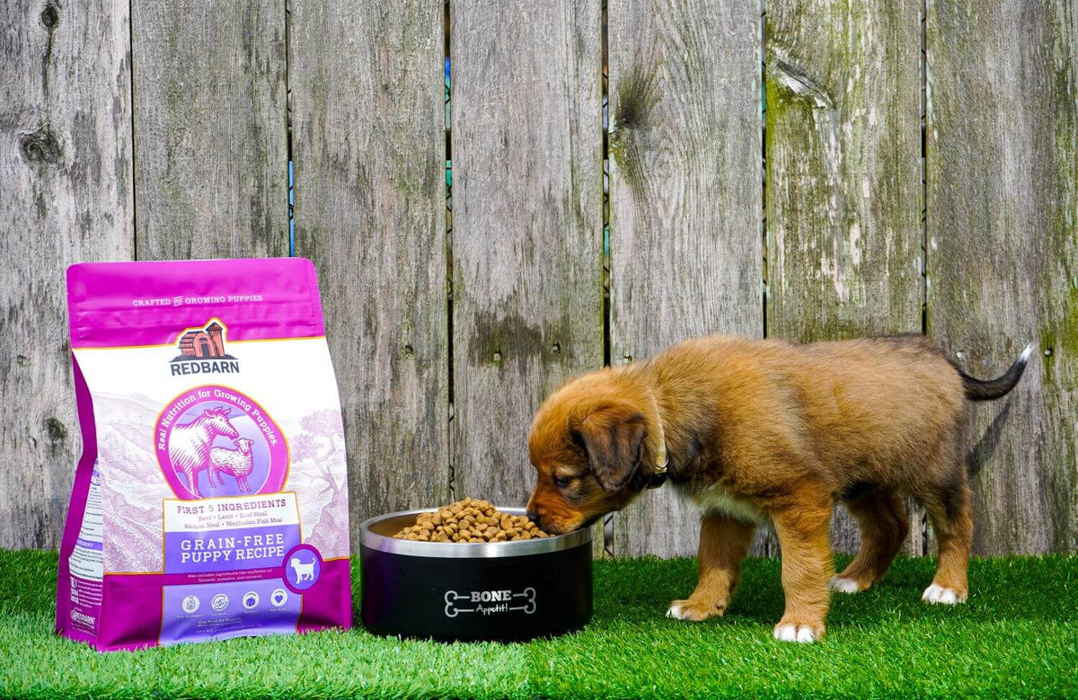 Dry Dog Food product image 6