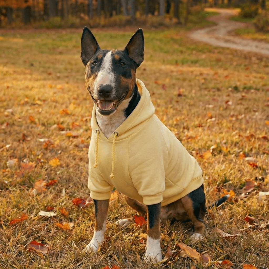 Dog Hoodie product image 1