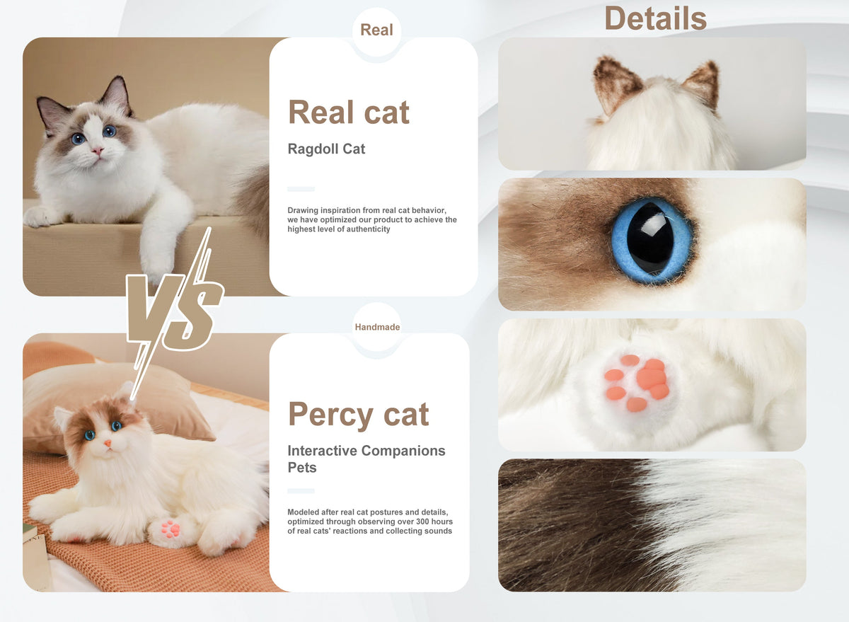 Robot Cat product image 3