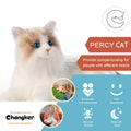 Robot Cat product image 11