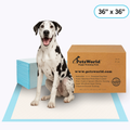 Extra-Large Dog Training Pads 25 Count / Unscented