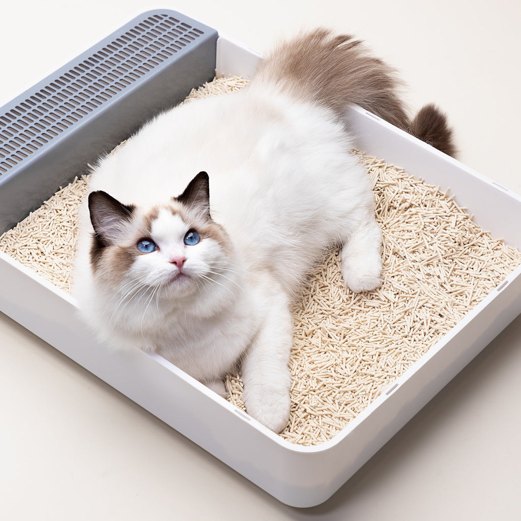 Cat Litter product image 4