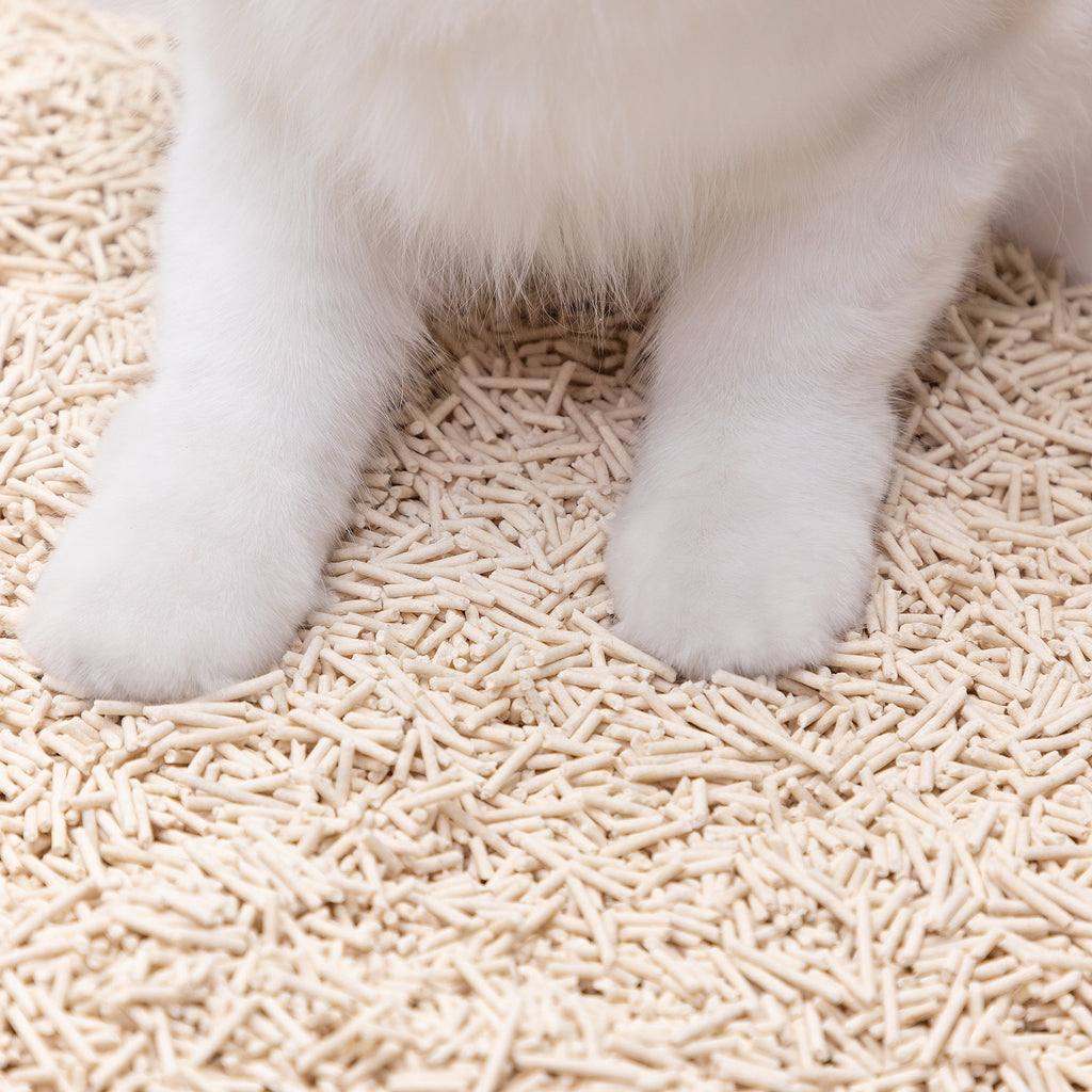 Cat Litter product image 5