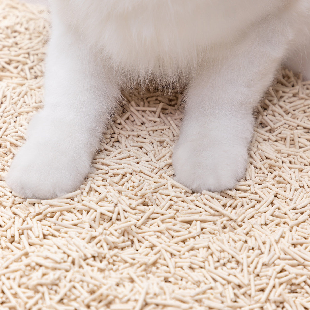 Cat Litter product image 5