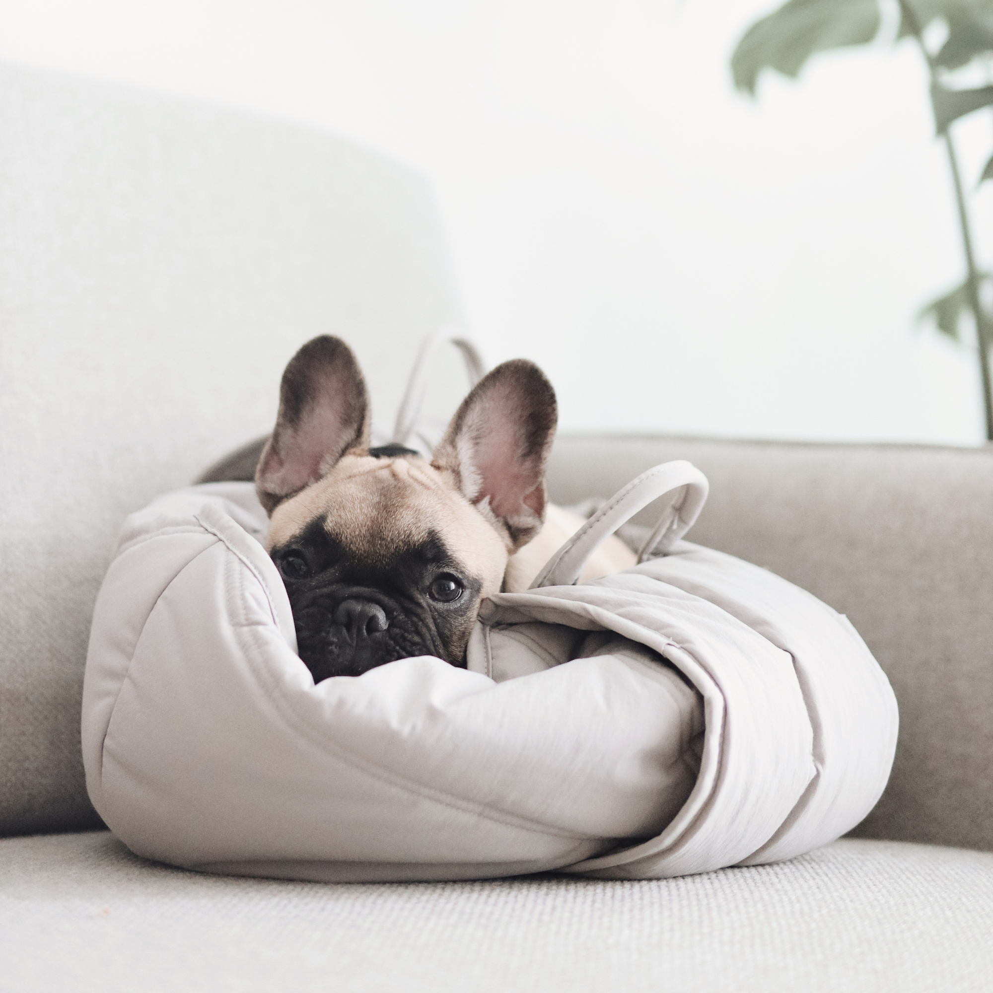 Small Pet Carrycot product image 3