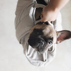 Small Pet Carrycot product image 12