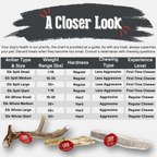 Elk Antler Dog Chew product image 7