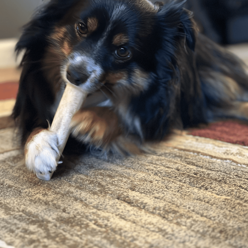 Elk Antler Dog Chew product image 13