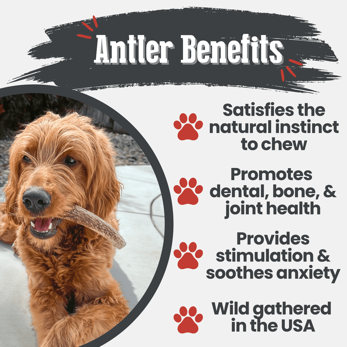 Elk Antler Dog Chew product image 21