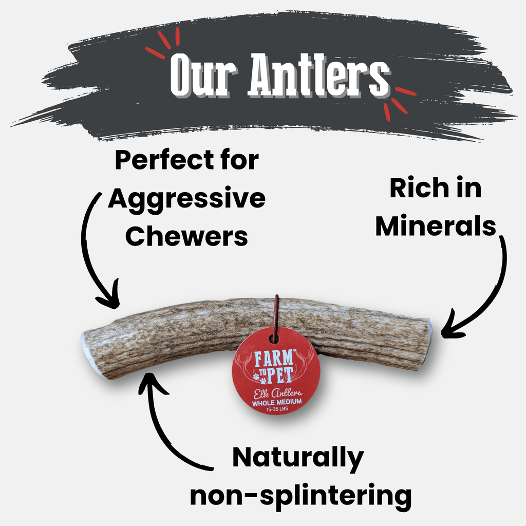 Elk Antler Dog Chew product image 23