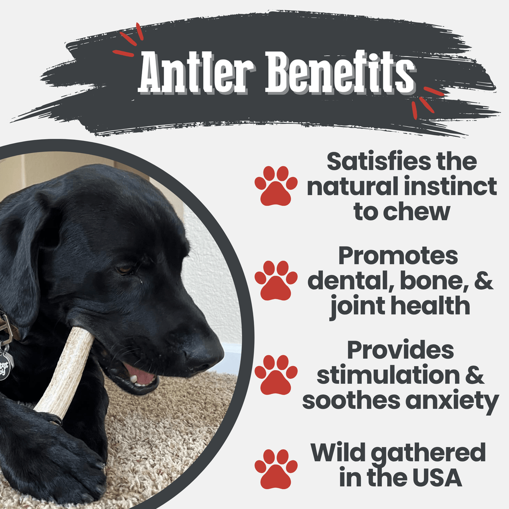 Elk Antler Dog Chew product image 27