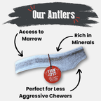 Elk Antler Dog Chew product image 29