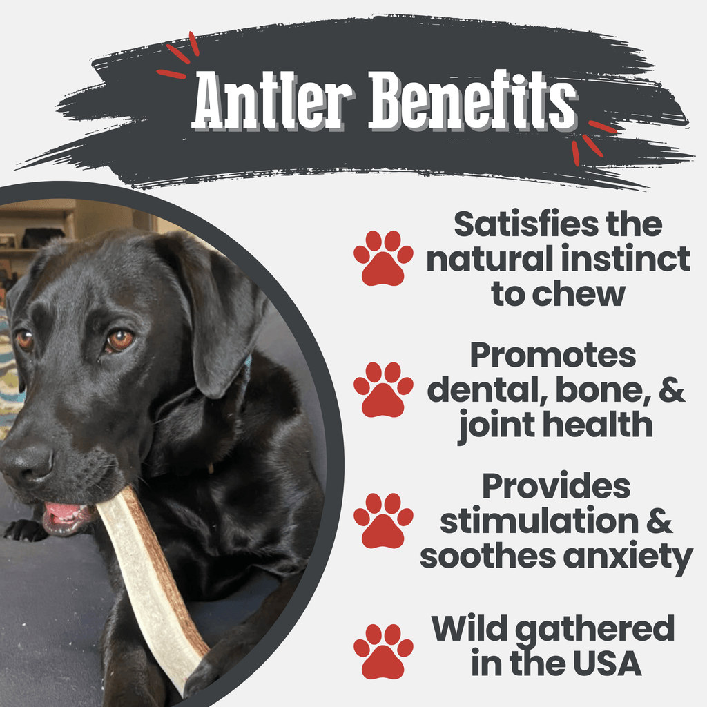 Elk Antler Dog Chew product image 32